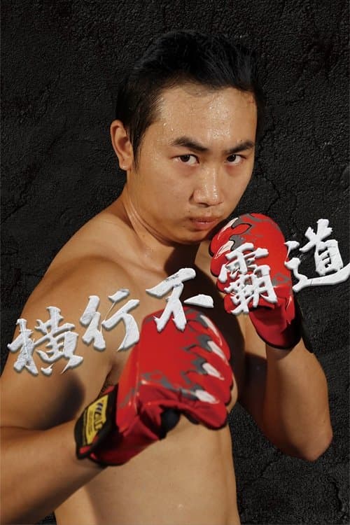 横行不霸道のポスター