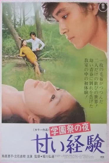 学園祭の夜　甘い経験のポスター