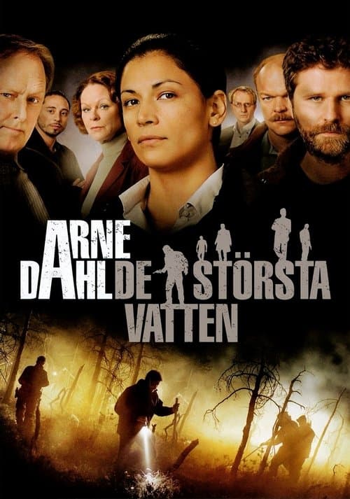 Arne Dahl: De största vattenのポスター
