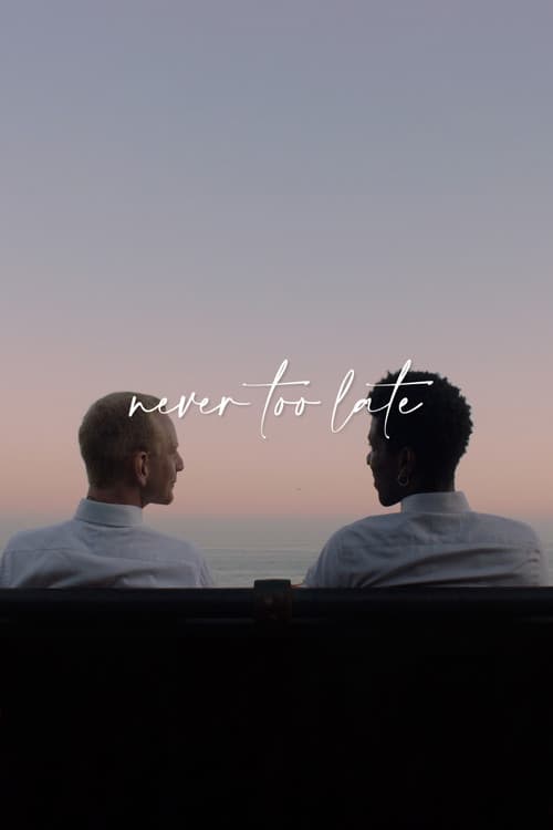 Never Too Lateのポスター