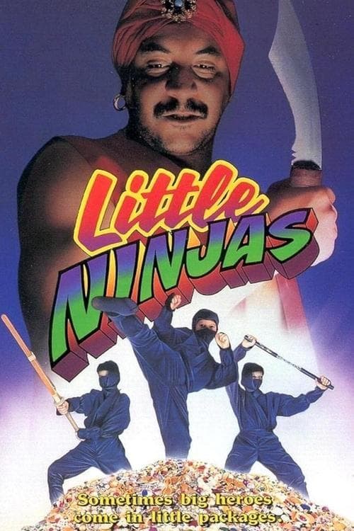 Little Ninjasのポスター