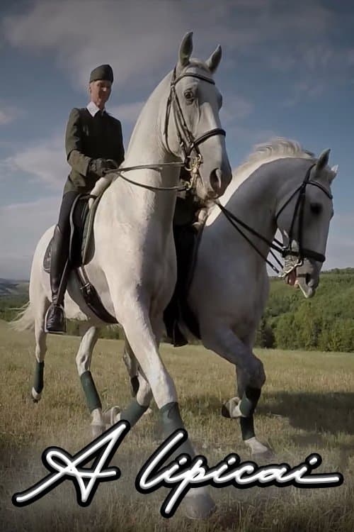 A lipicaiのポスター