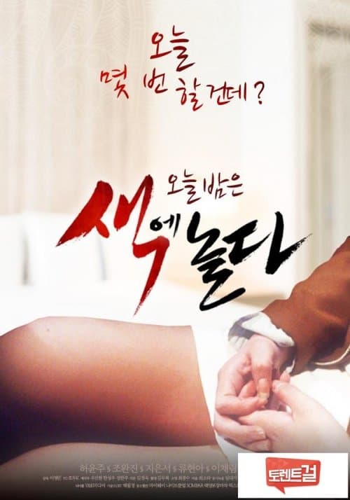 색에 놀다のポスター