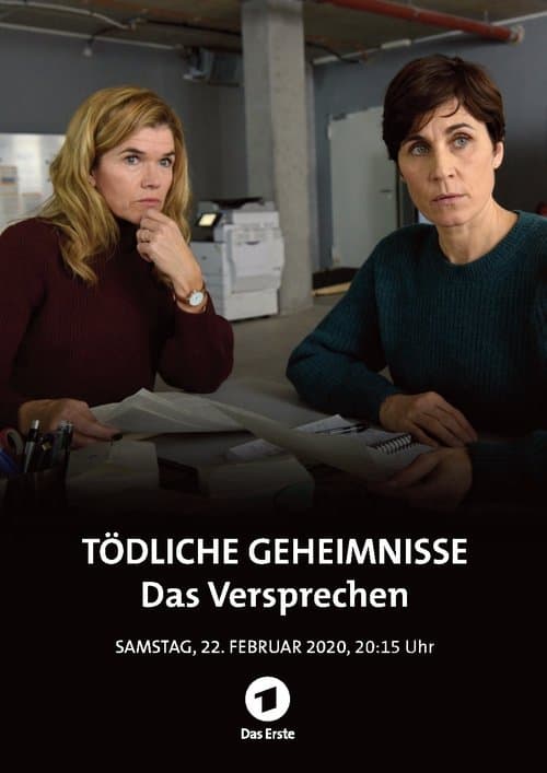 Tödliche Geheimnisse - Das Versprechenのポスター