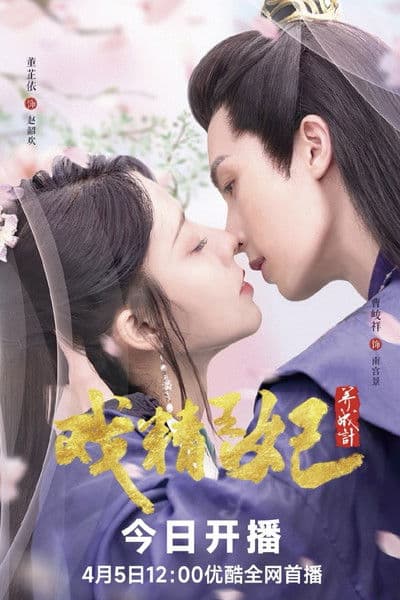 戏精王妃养成记のポスター