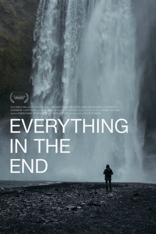 Everything in the Endのポスター