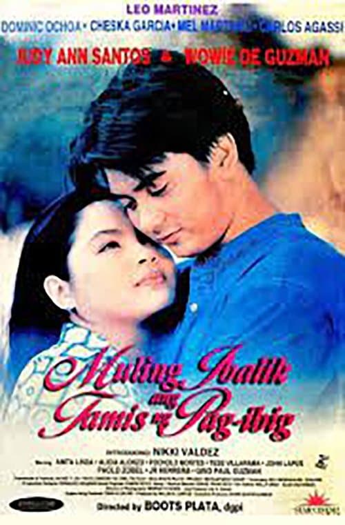 Muling Ibalik ang Tamis ng Pag-ibigのポスター