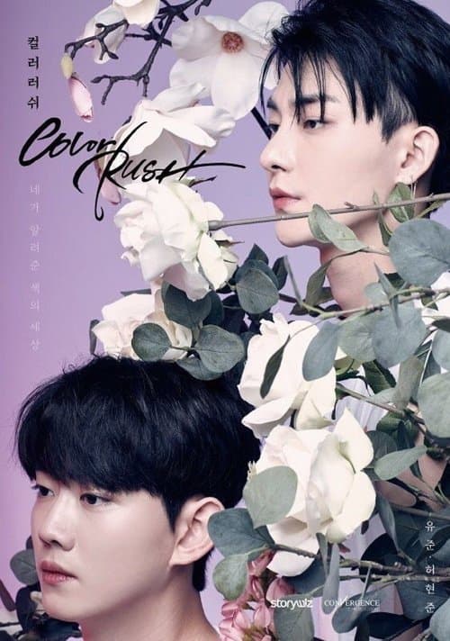 컬러 러쉬のポスター