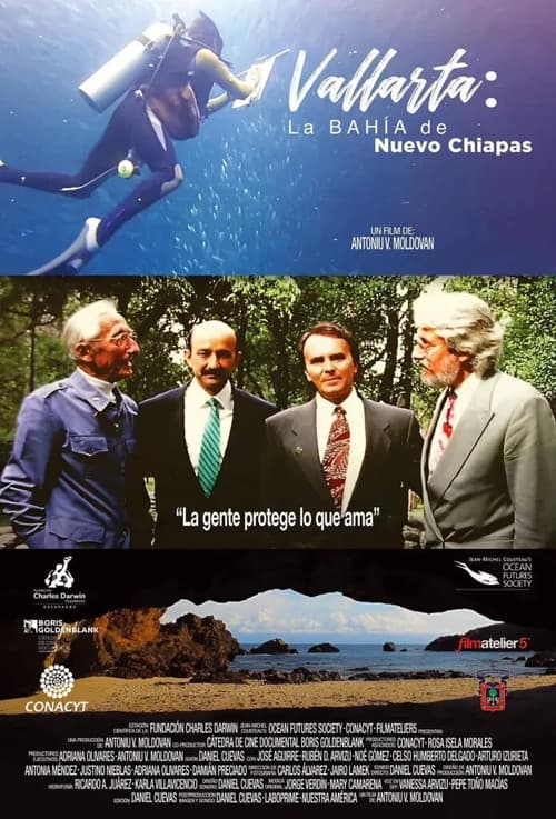 Vallarta: La Bahía de Nvo. Chiapasのポスター