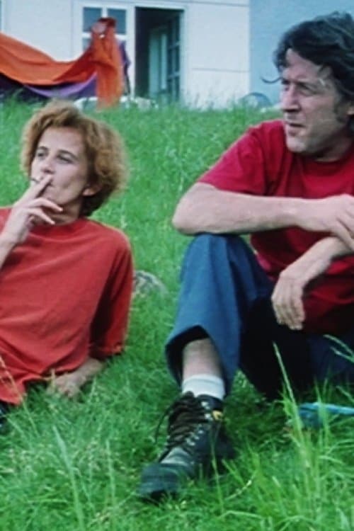 Surveiller les tortuesのポスター