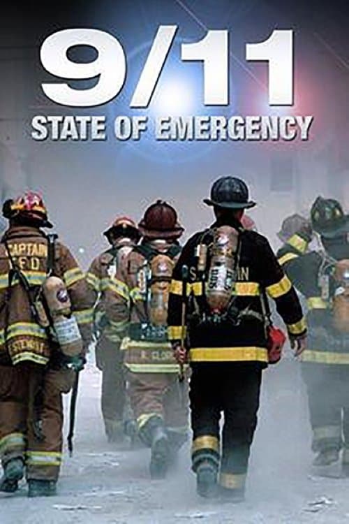 9/11 State of Emergencyのポスター