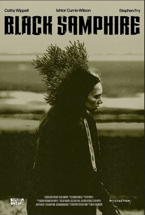 Black Samphireのポスター