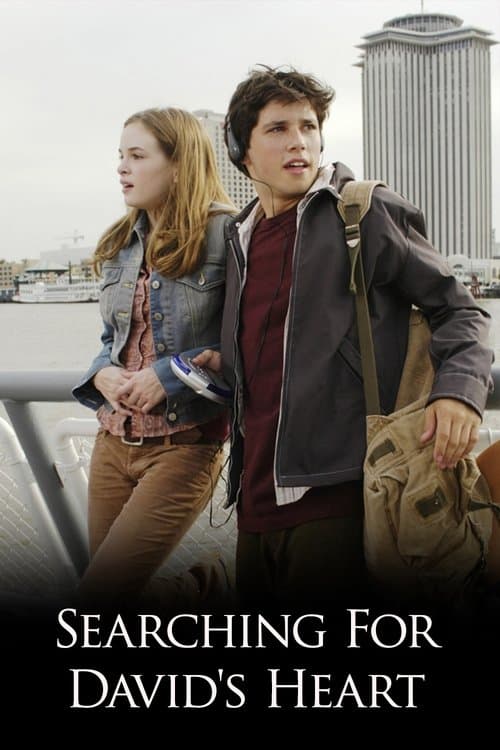 Searching for David's Heartのポスター