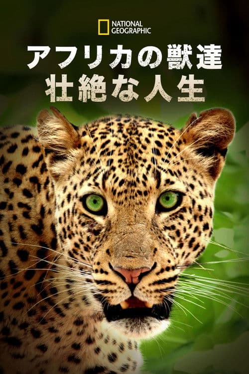 Africa's Huntersのポスター