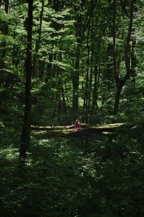 Kétoldali közelítésのポスター