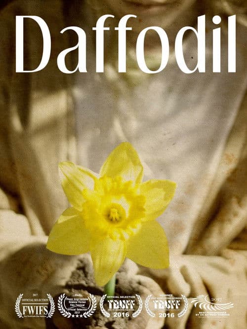 Daffodilのポスター