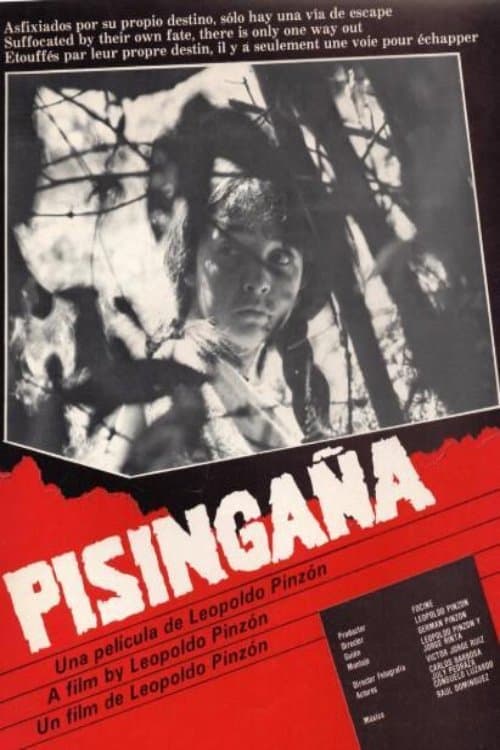 Pisingañaのポスター