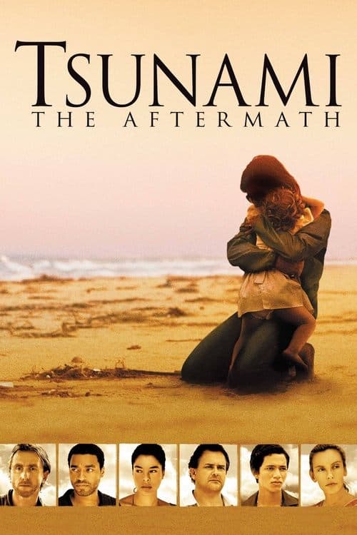 Tsunami: The Aftermathのポスター