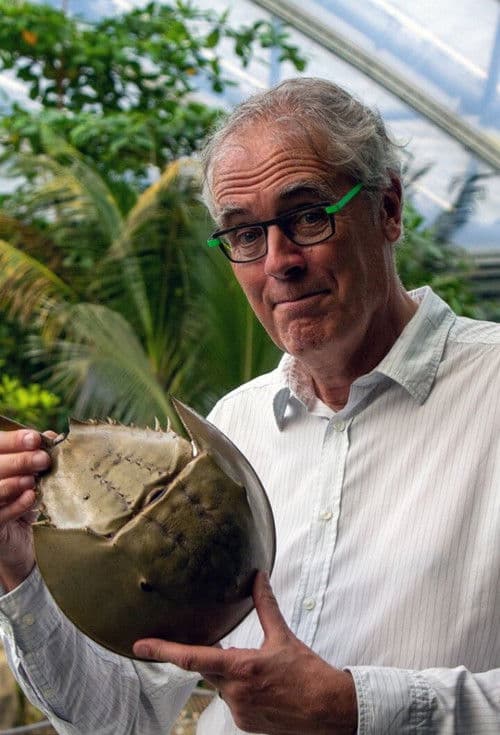 Govert naar de oorsprong van de mensのポスター