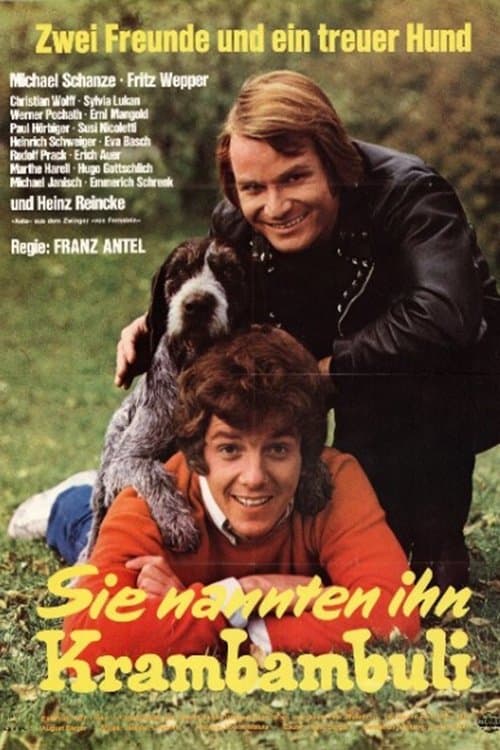 Sie nannten ihn Krambambuliのポスター