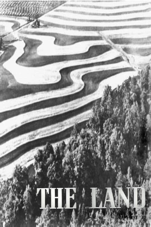The Landのポスター