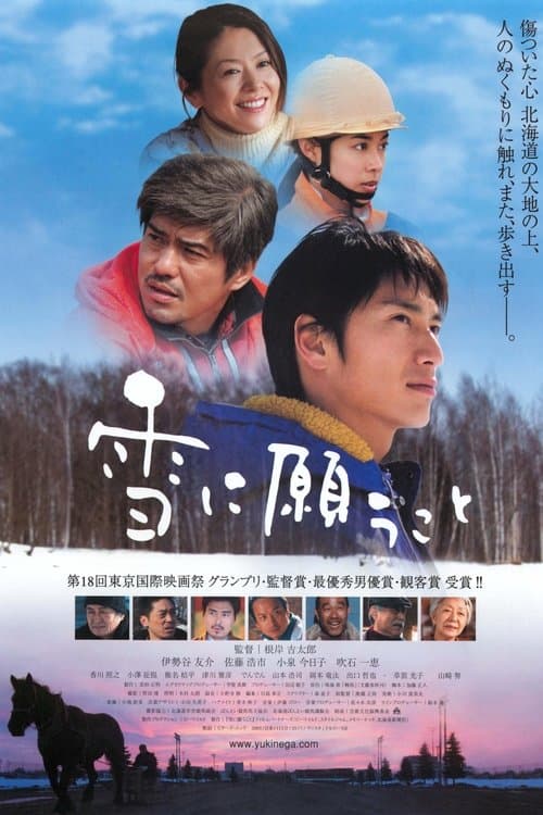 雪に願うことのポスター