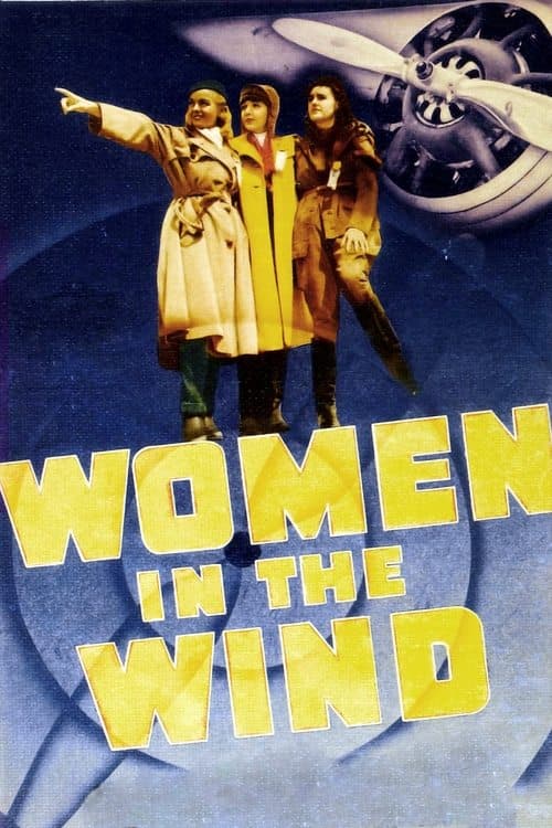 Women in the Windのポスター