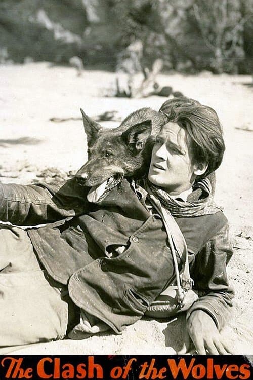 Clash of the Wolvesのポスター