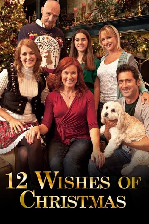 12 Wishes of Christmasのポスター