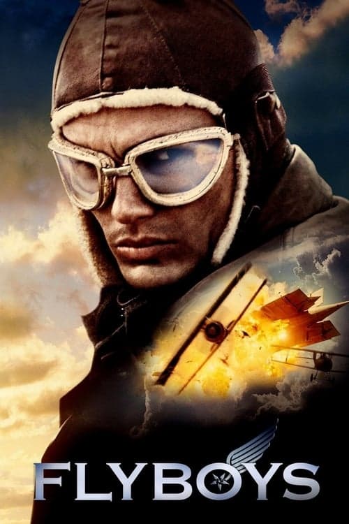 フライボーイズのポスター