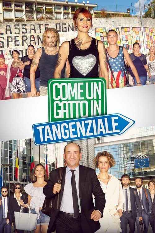 Come un gatto in tangenzialeのポスター