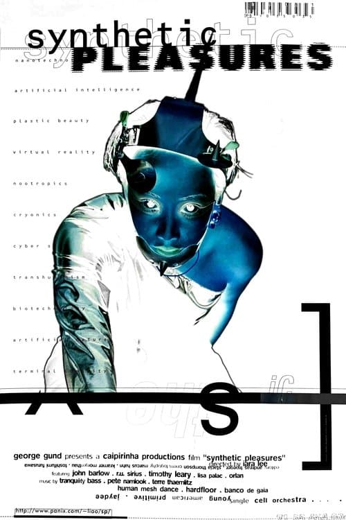 Synthetic Pleasuresのポスター