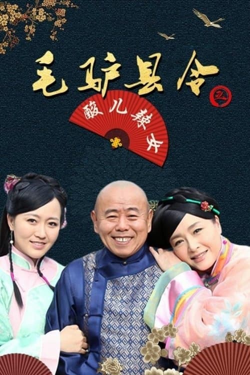 毛驴县令之酸儿辣女のポスター