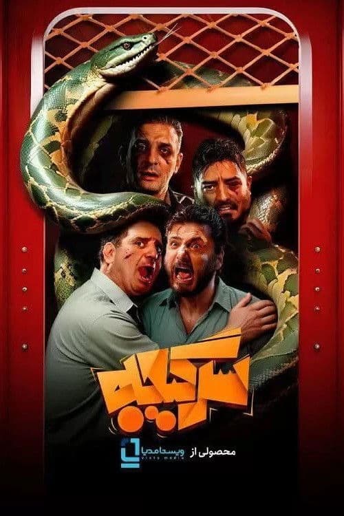 سرگیجهのポスター