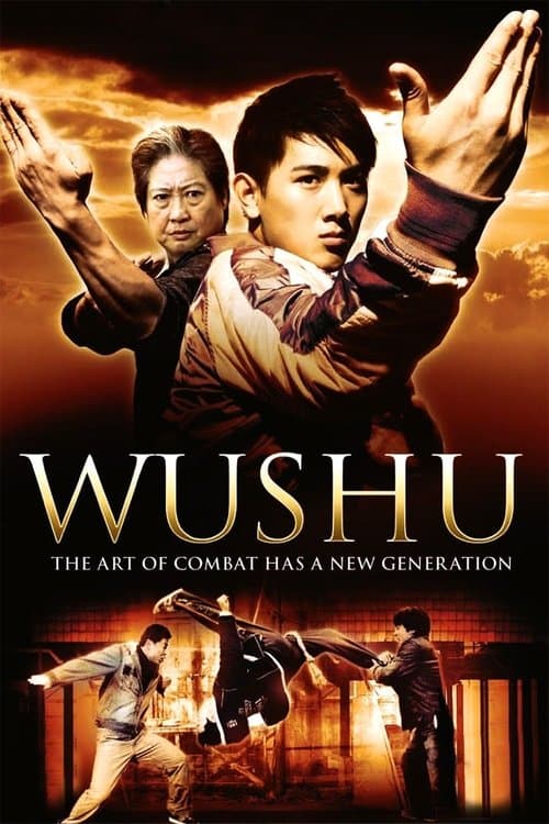 武术之少年行のポスター