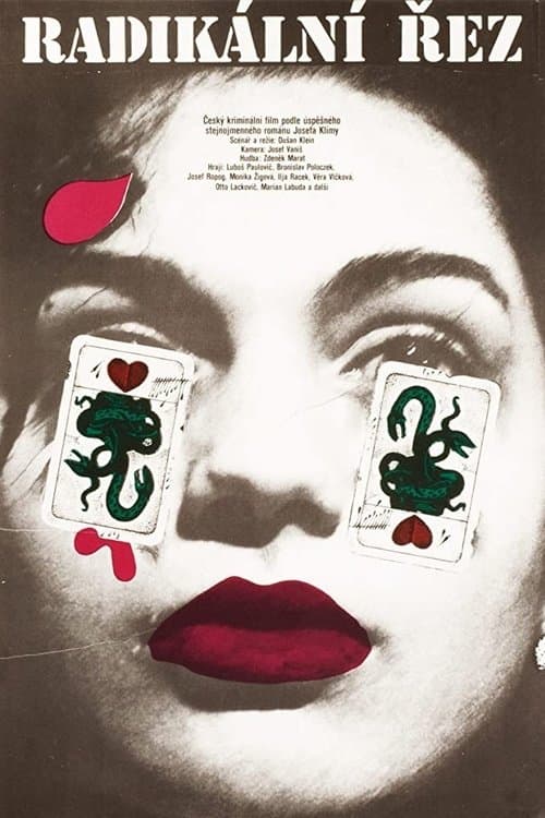 Radikální řezのポスター