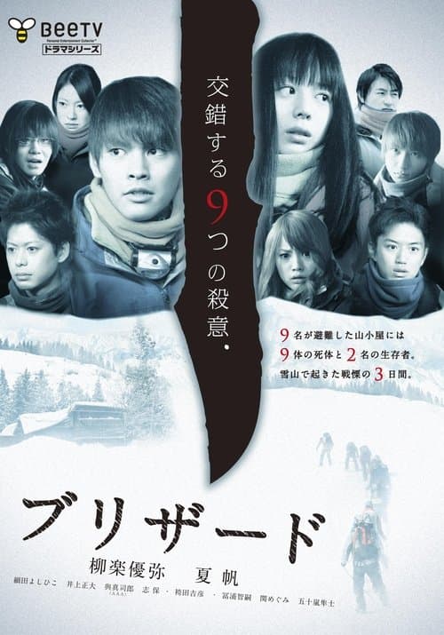 ブリザードのポスター