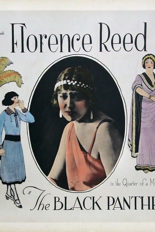 The Black Panther's Cubのポスター