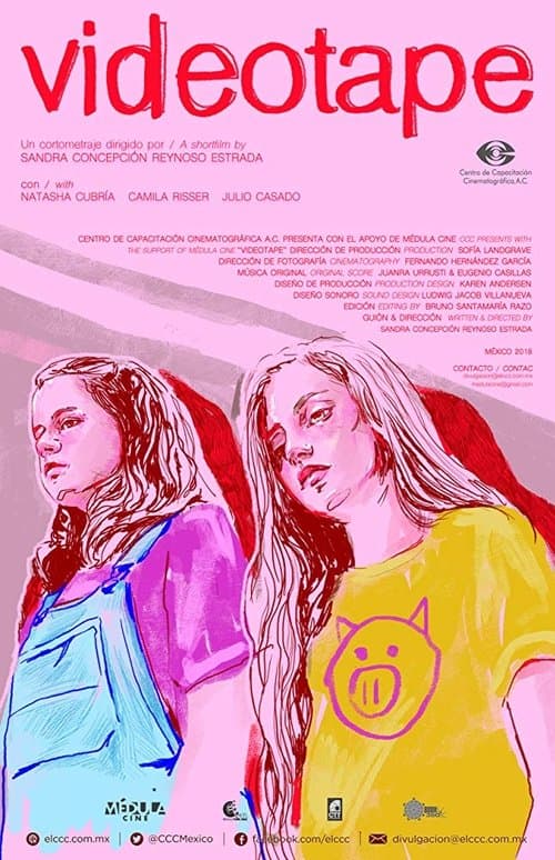 Videotapeのポスター