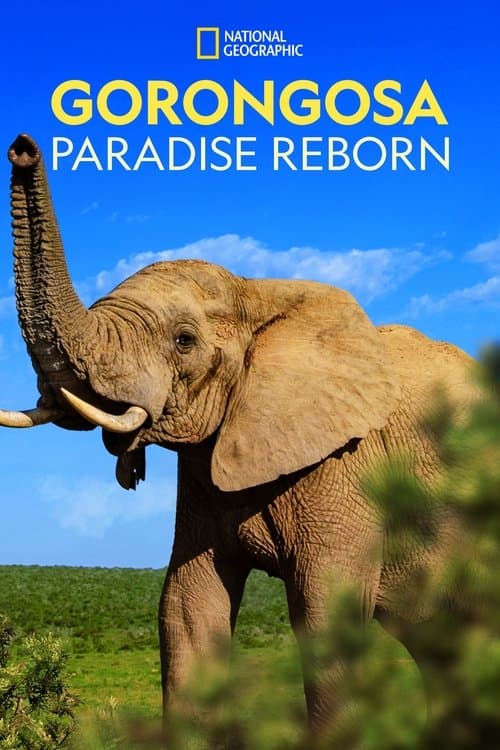 Gorongosa: Paradise Rebornのポスター