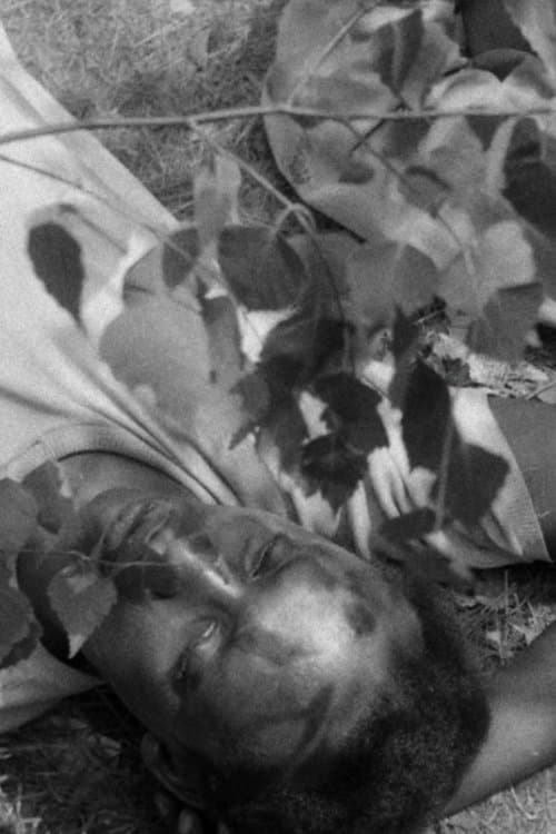 Jagdpartieのポスター