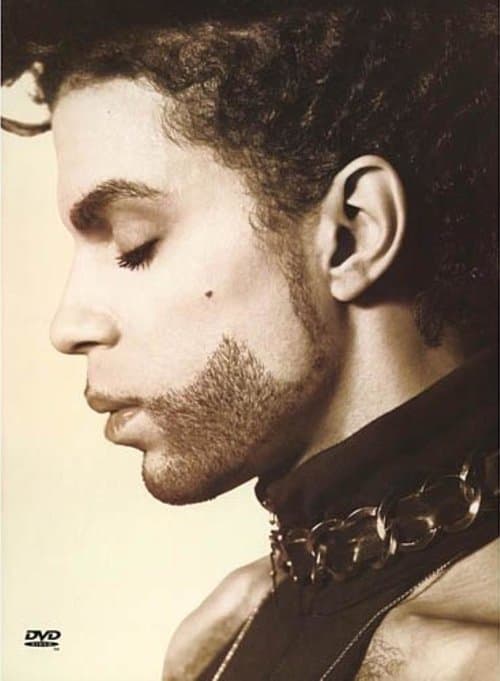 Prince: The Hits Collectionのポスター