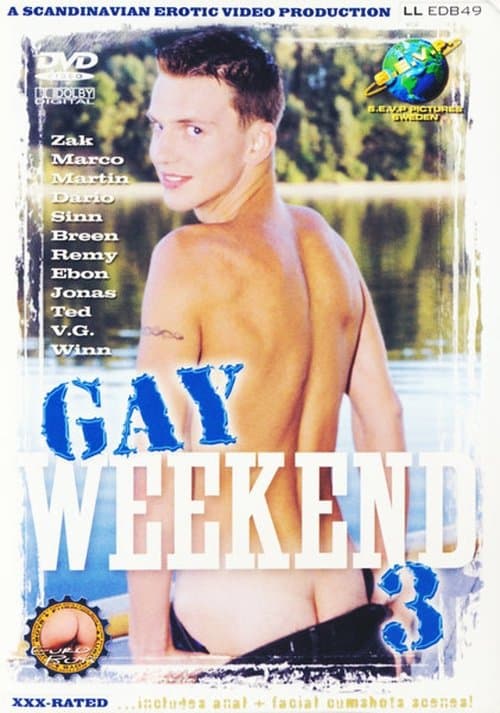 Gay Weekend 3のポスター