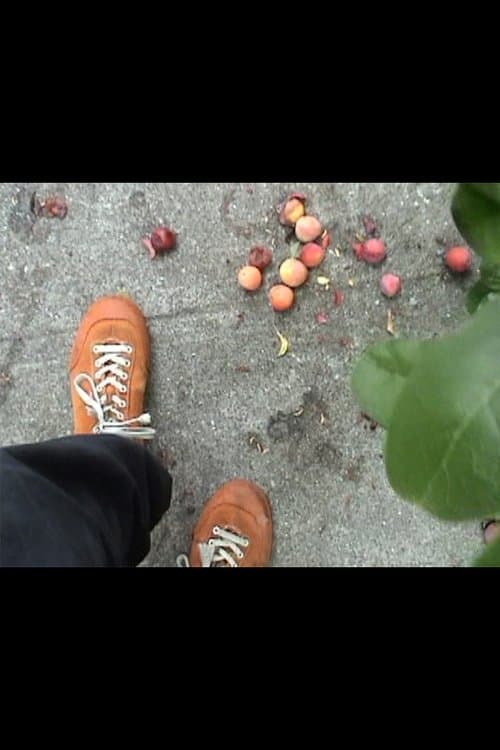 The Hairy Horrorのポスター