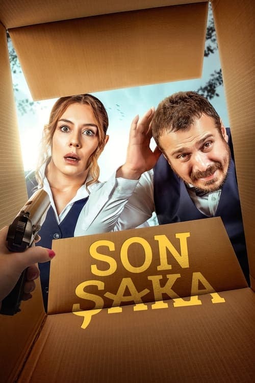 Son Şakaのポスター