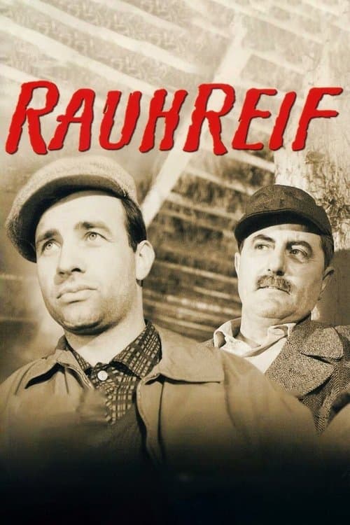 Rauhreifのポスター