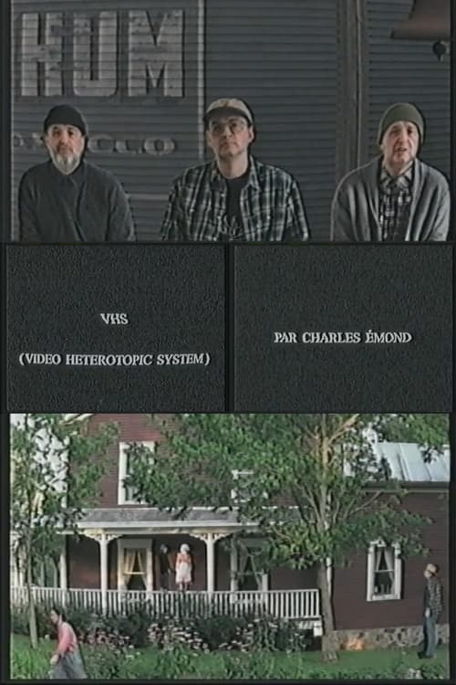 VHS (Video Heterotopic System)のポスター