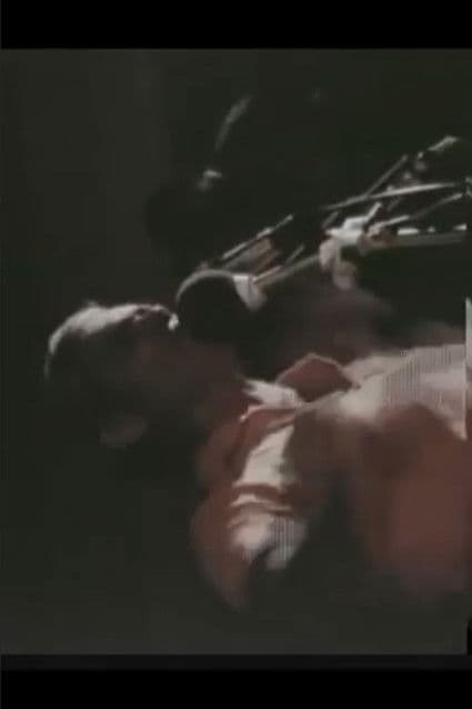 Land of My Birthのポスター