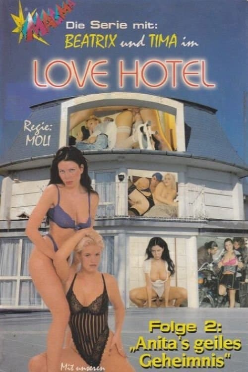 Love Hotel 2: Anitas geiles Geheimnisのポスター