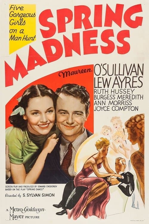 Spring Madnessのポスター